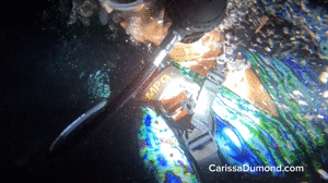xsiteability.com - Night scuba with Carissa with time warp snorkling in catsuit bonus! thumbnail